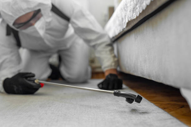 Professional Bed Bug Control technician working in Dana, NC